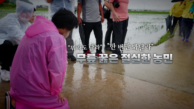 [영상] 尹 걱정마시라 ...무릎 꿇은 절실한 농민 / YTN