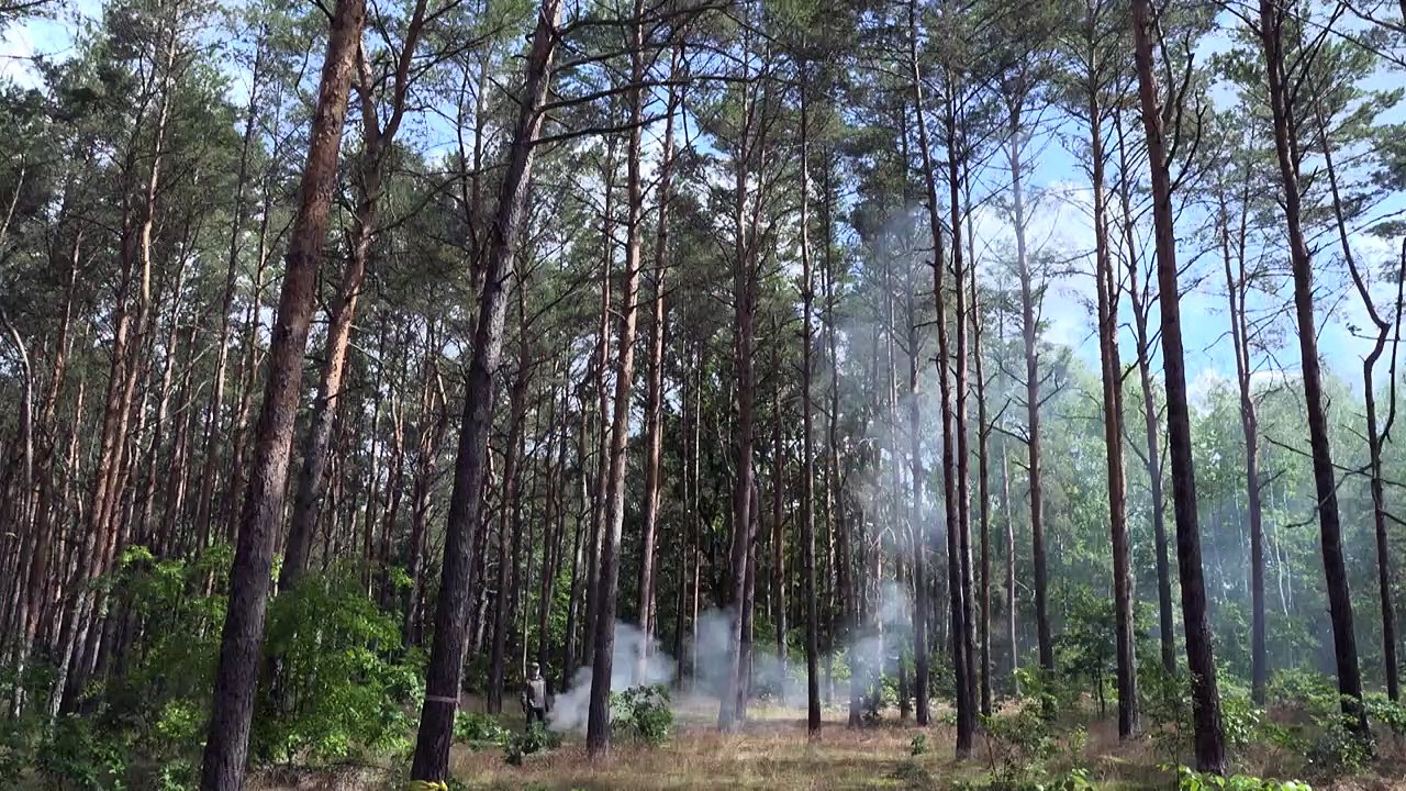 Kampf gegen waldbrände: frühwarnsystem aus brandenburg weltweit im einsatz