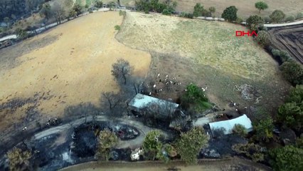 Feu de forêt à Çanakkale vu du ciel