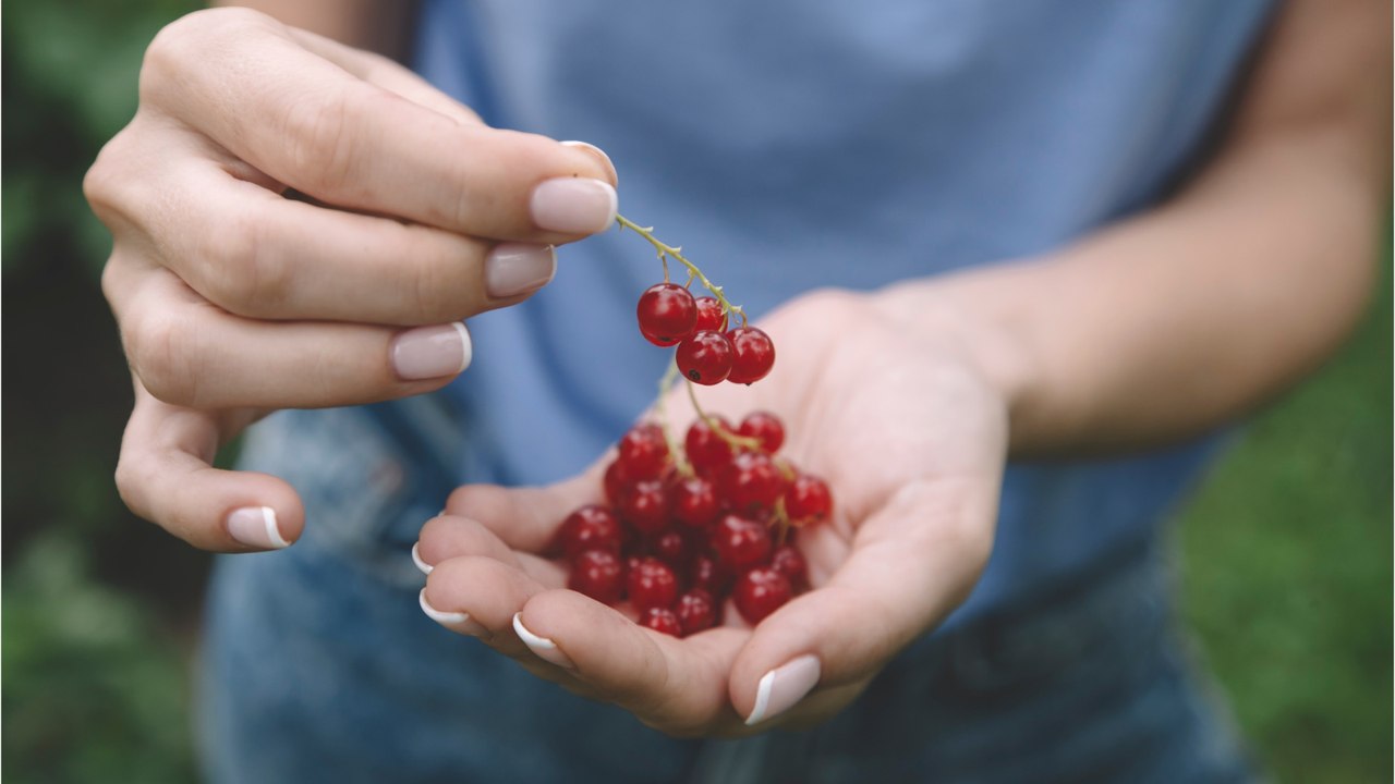 Gabel-Trick: So kullern Johannisbeeren easy von der Rispe