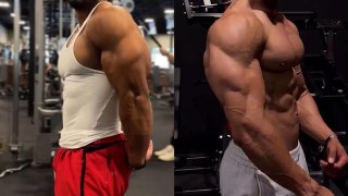 The Best Exercises for Bigger Triceps