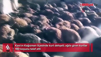 Köylülerin ağıtları yürekleri dağladı! 190'ı birden öldü