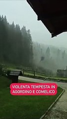 Tempesta sulle Dolomiti, devastato il Bellunese: il video