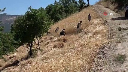 Vendanges traditionnelles avec bénédictions à mille altitudes