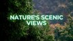Beautiful Raining with Serene Raindrops Sound  Uplifting Nature Quotes| Relaxing video