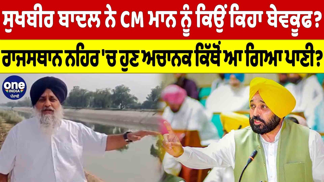 ਬਾਦਲ ਨੇ CM ਮਾਨ ਨੂੰ ਕਿਉਂ ਕਿਹਾ ਬੇਵਕੂਫ? ਰਾਜਸਥਾਨ ਨਹਿਰ 'ਚ ਹੁਣ ਅਚਾਨਕ ਕਿੱਥੋਂ ਆ ਗਿਆ ਪਾਣੀ? |OneIndia Punjabi