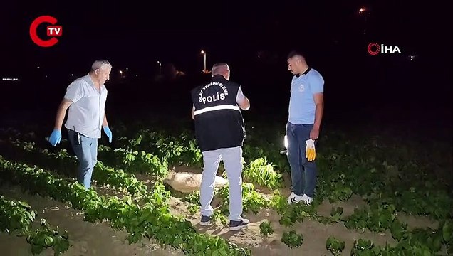 Doğum yapmış köpeği av tüfeği ile vurarak öldürdüler