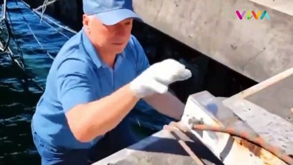 3 Alasan Jembatan Krimea Sangat Penting Bagi Rusia