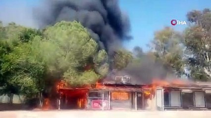 Kafeyi yakıp orman yangınına neden olan şahıs yüzde 90 engelli çıktı