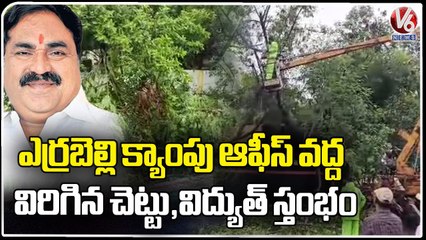 Tree and Electricity Pole Fall Down At Errabelli Dayakar Rao Camp Office | Hanamkonda | V6 News