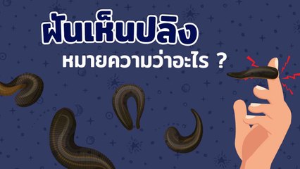 ฝันเห็นปลิง 🩸 ความหมายและโชคลาภที่คุณไม่ควรพลาด