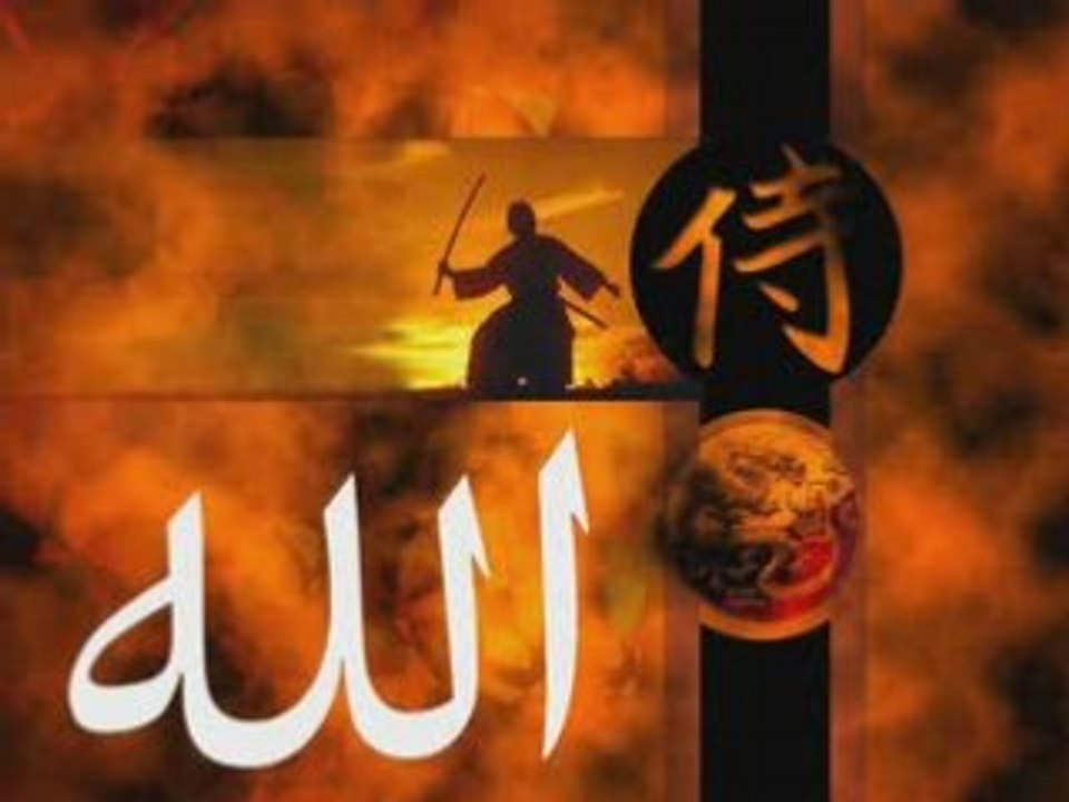 SOURATE 2 : LA VACHE