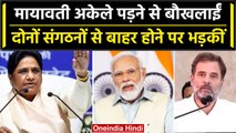 Mayawati ने NDA और INDIA गठबंधन को जमकर लताड़ा, BSP के लिए किया बड़ा ऐलान | वनइंडिया हिंदी