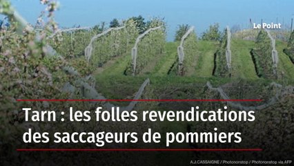 Tarn : les folles revendications des saccageurs de pommiers