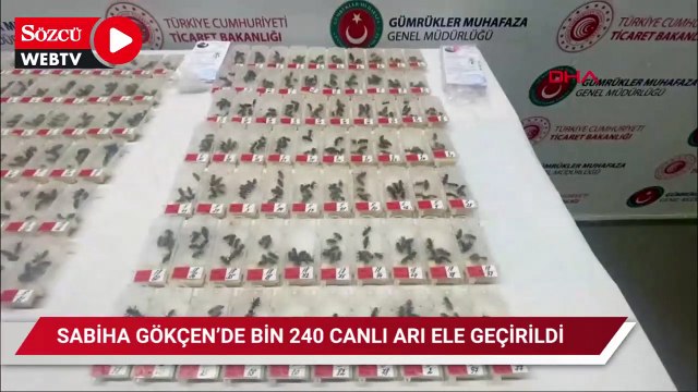 Sabiha Gökçen Havalimanı’ında bin 240 canlı arı ele geçirildi