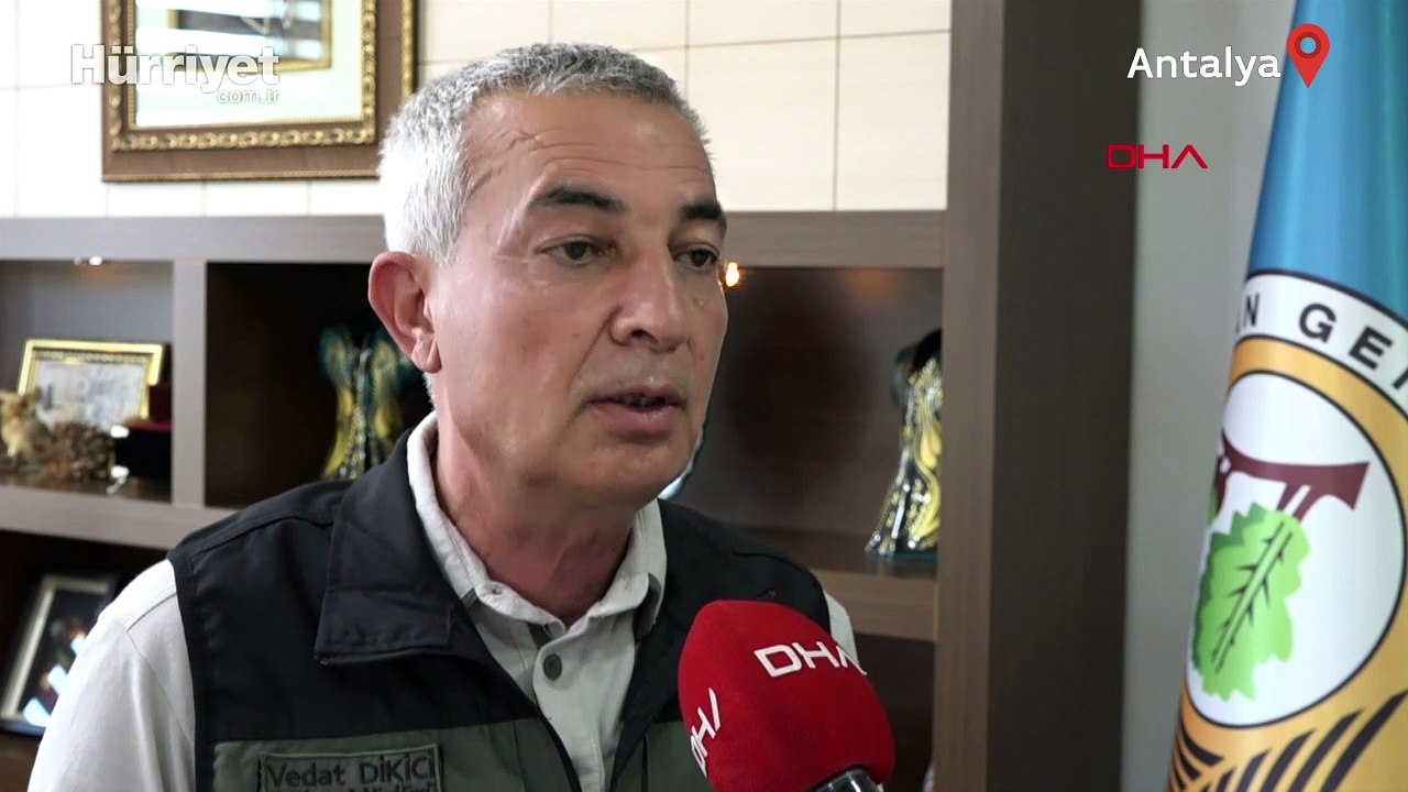 Orman Bölge Müdürü'nden mangalseverlere çağrı: 20 gün yakmasak ne olur