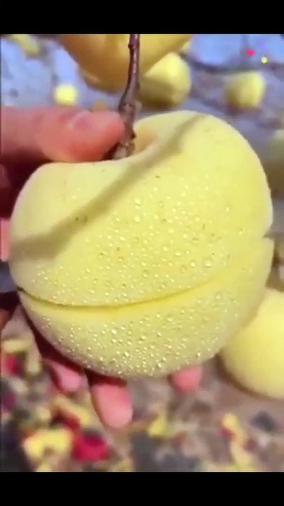 Yellow Apple