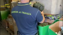 Sequestrati nel veronese 1,7 milioni di prodotti insicuri