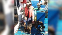 Le naufragé australien et son chien sont arrivés au Mexique après deux mois perdus en mer