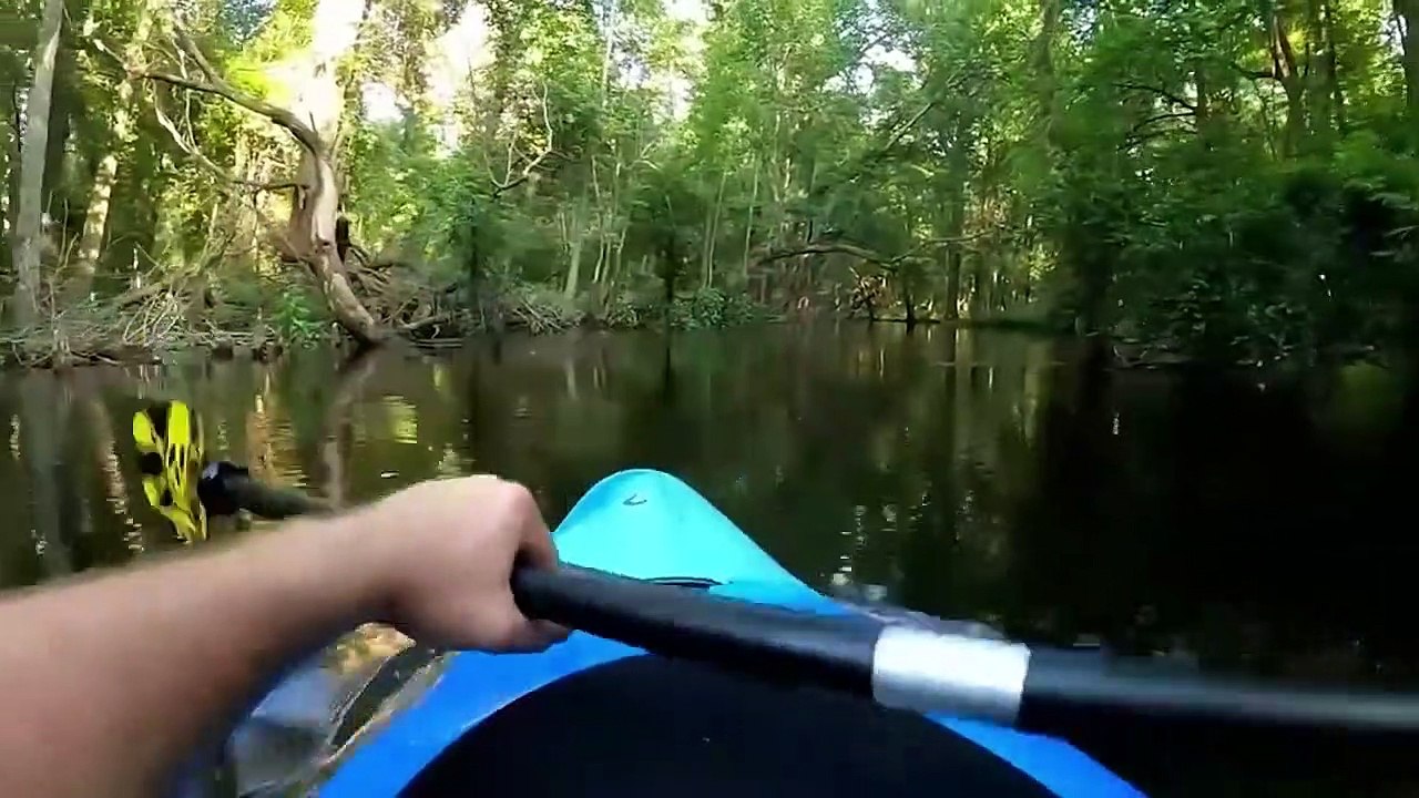 Man Almost Eaten By Crocodile