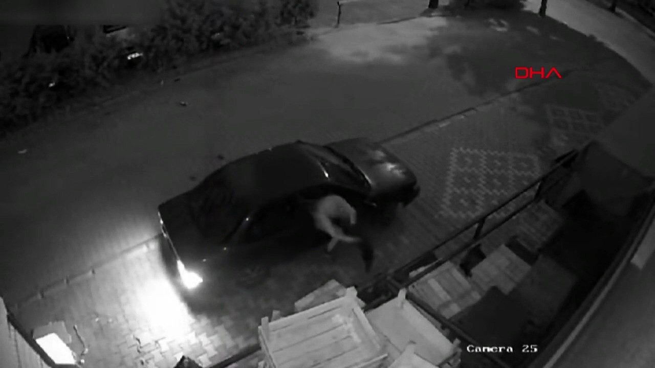 Marketten Deterjan Çalan 4 Kişi Otomobili İterek Kaçtı