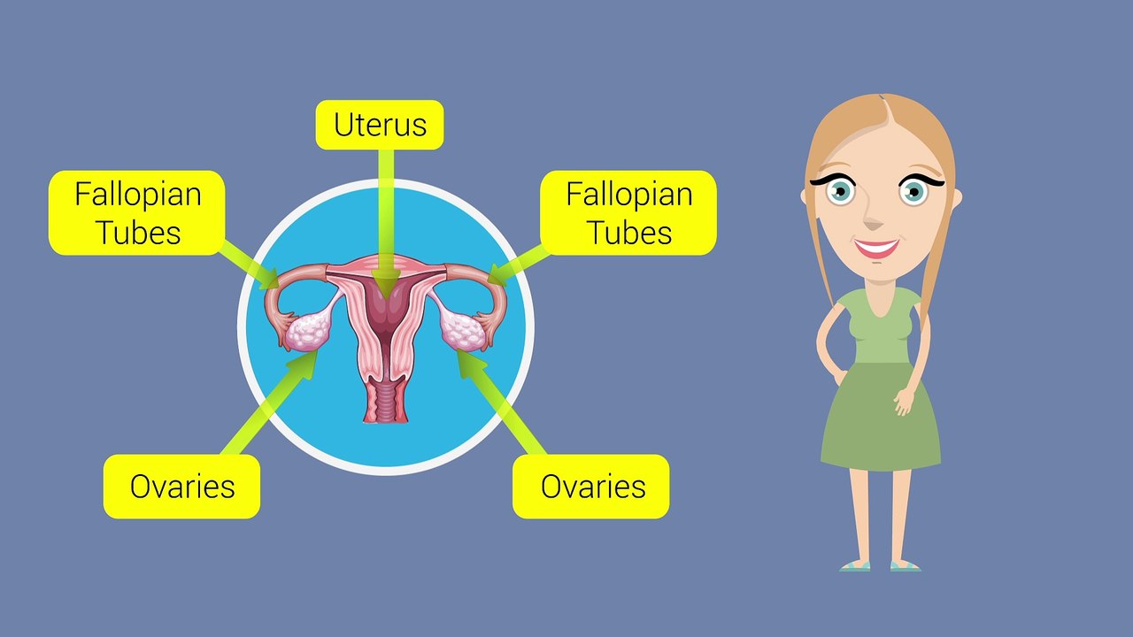 Fertility Clinics and Costs
