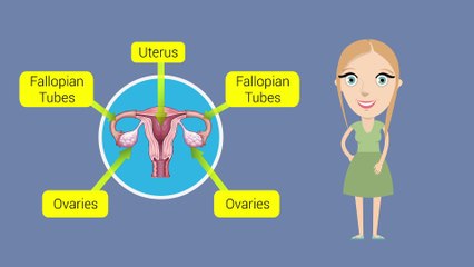 Fertility Clinics and Costs