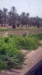 Beautiful view - Sukkur express - Pak railway - pakistan