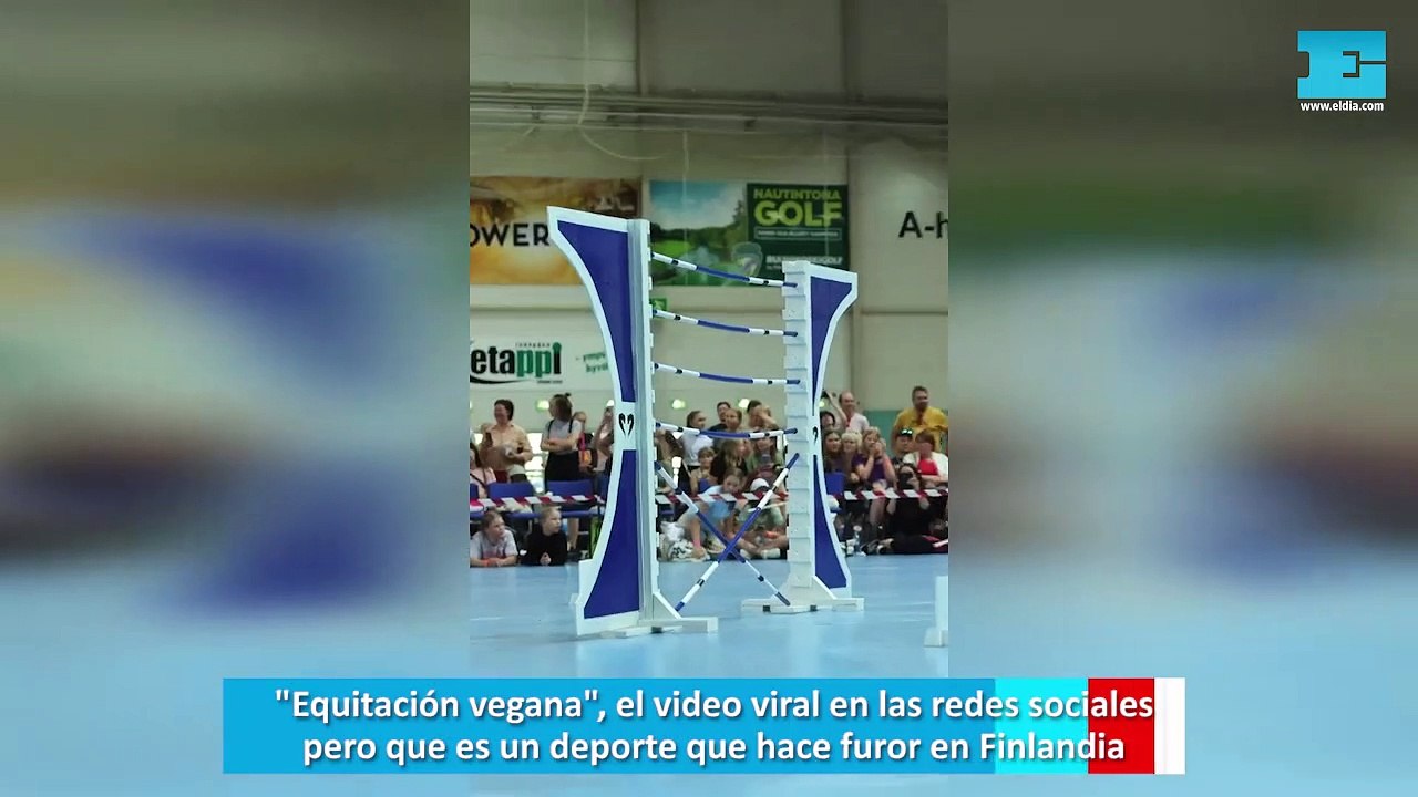 "Equitación vegana", el video viral en las redes sociales pero que es un deporte que hace furor en Finlandia