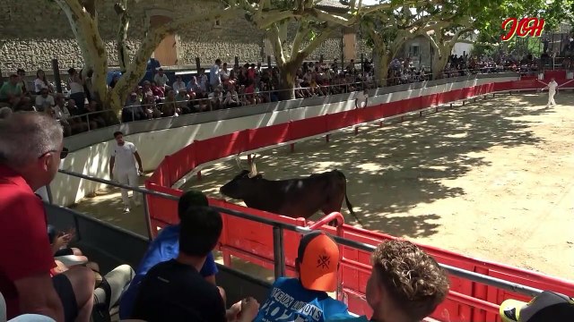 2iè Journée Du Raisin D'Or Jonquières St Vincent 15 juillet 2023