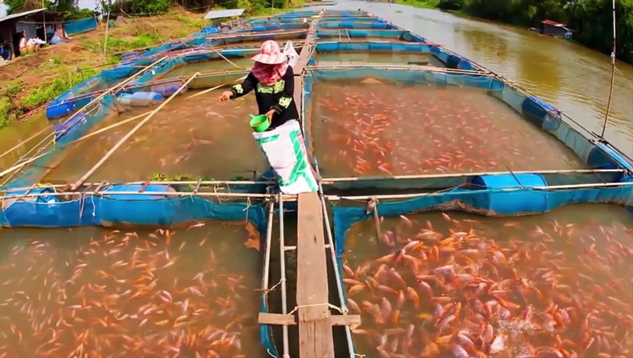 Top 10 Mysterious Creatures Created By Scientists