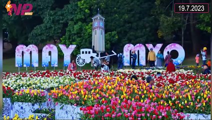 ယနေ့ ဇူလိုင်လ ၁၉ ရက်အတွင်း ပြည်တွင်းနှင့် ပြည်ပမှ သတင်းထူးများ