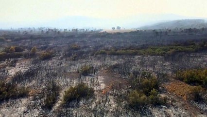 Drone footage shows hills scorched by wildfire in Greece
