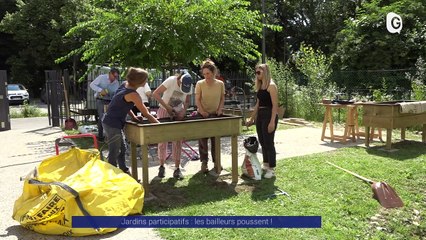 Reportage - Jardins participatifs : les bailleurs poussent !