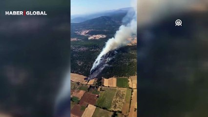 Muğla'da tarlada başlayan yangın ormanlık alana sıçradı