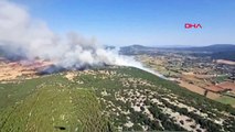 Muğla'da Tarım Arazisinde Çıkan Yangın Ormana Sıçradı