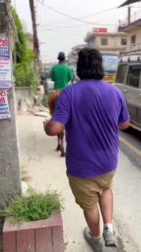 Rhino se promène dans la rue de la ville