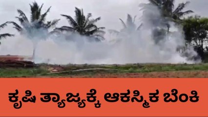 ತ್ಯಾಜ್ಯಕ್ಕೆ ಆಕಸ್ಮಿಕ ಬೆಂಕಿ, ತೆಂಗಿನ ಮರಗಳು ಬೆಂಕಿಗಾಹುತಿ