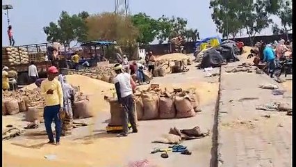 कोटा मंडी, किराना व सर्राफा बाजार भाव