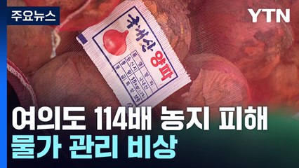 여의도 114배 농지 피해...엎친 데 덮친 물가 '비상' / YTN