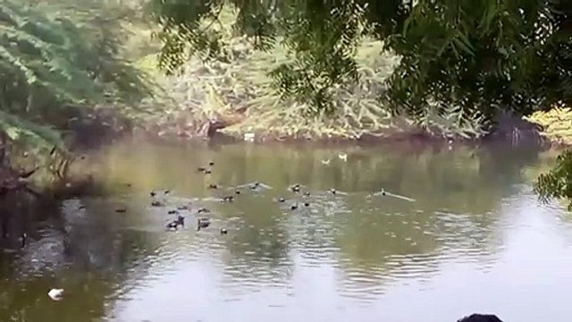 राज्य में अब 19 जिलों में कुल 44 अधिसूचित वेटलैंड,बारां में सर्वाधिक 12