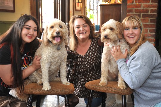The Best Pub For Dogs may be in Sussex. The King's Arms in West Sussex has been shortlisted for the national award