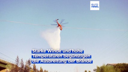 3 Großfeuer: Neue Hitzewelle verschärft die Lage in Griechenland