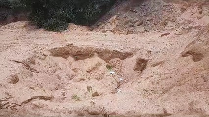 कछार से लोफंदी तक सरकारी जमीन से मिट्टी का दिन दहाड़े अवैध उत्खनन, अधिकारी मौन