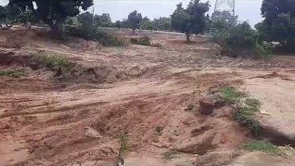 कछार से लोफंदी तक सरकारी जमीन से मिट्टी का दिन दहाड़े अवैध उत्खनन, अधिकारी मौन