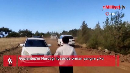 Gaziantep orman yangını! Müdahale sürüyor