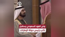 ولي العهد السعودي يستقبل نائب رئيس دولة الإمارات