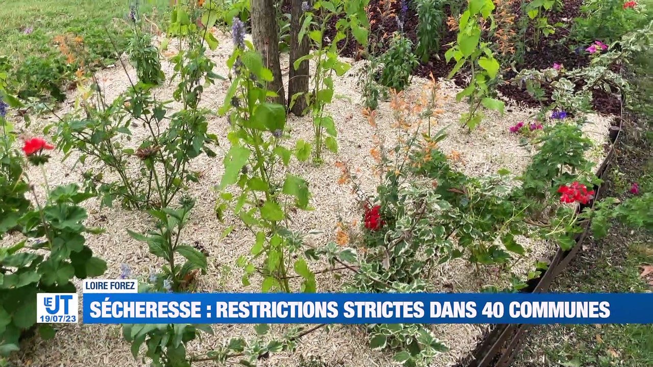 A la Une : La CGT santé tire la sonnette d'alarme / Restriction d'eau pour 40 communes dans Forez Est / La maison de la pêche ouvre ses portes !
