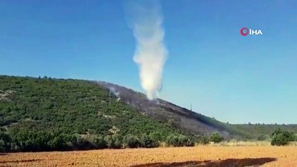 Muğla'daki orman yangını kontrol altına alındı