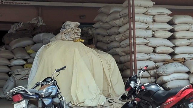 नागौर -मेड़ता सिटी कृ​षि उपज मंडी, जीरा हुआ 59 हजारी, देखें जिंसों के भाव